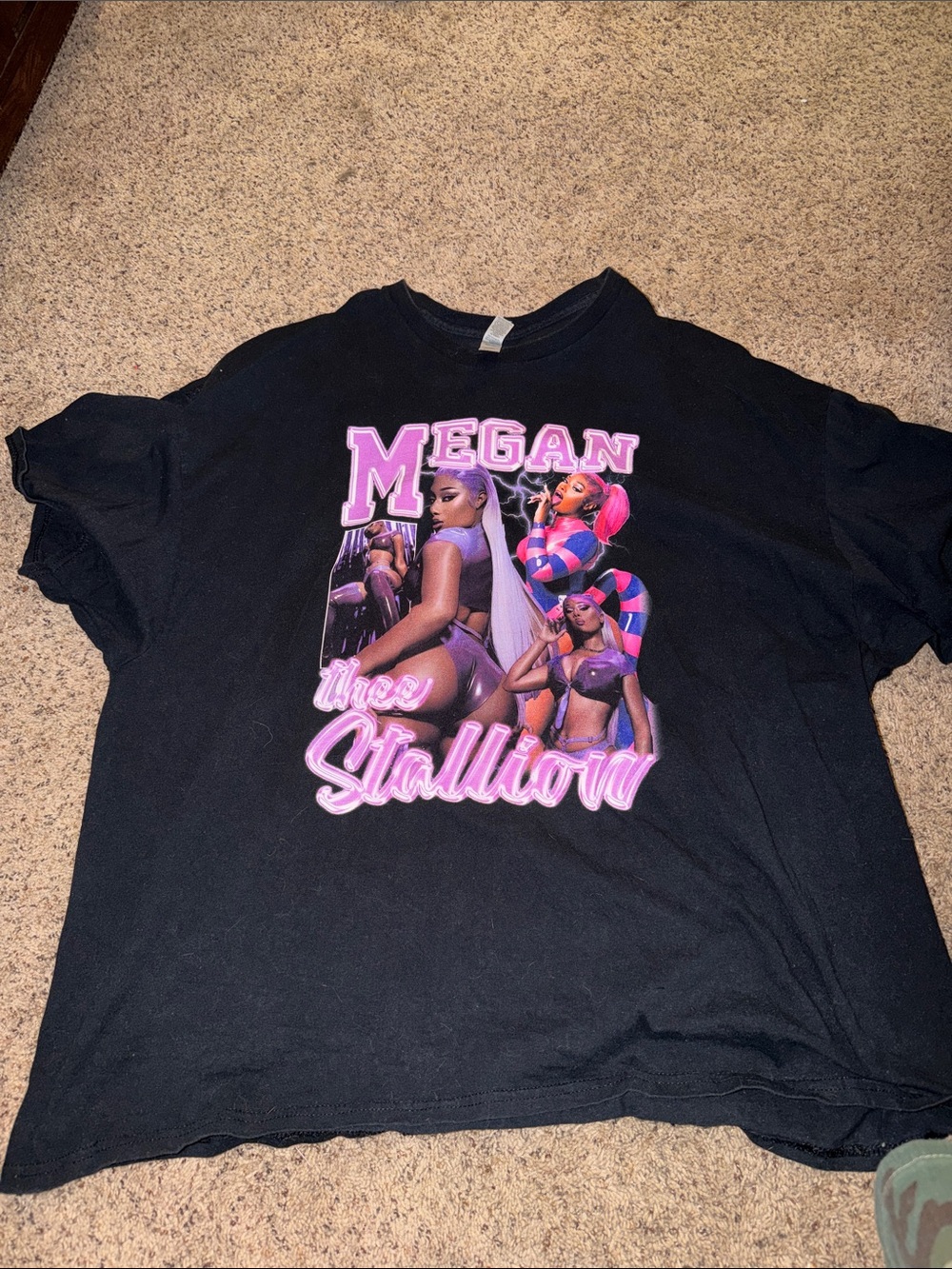 Pink & Purple Megan Thee Stallion Graphic
